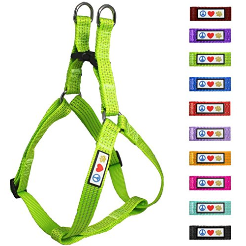 pawtitas-reflective-dog-harness