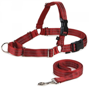 5 Best Reflective Dog Harness – A great walk for you and your dog