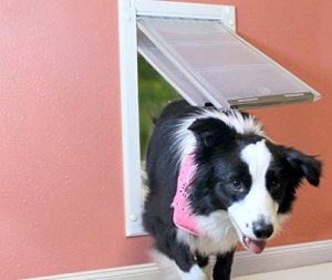 dog-door-for-wall-for-any-dog-owner