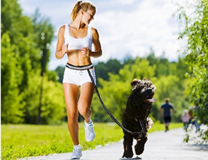 hands-free-dog-leash-enhance-your-dog-walking-experience