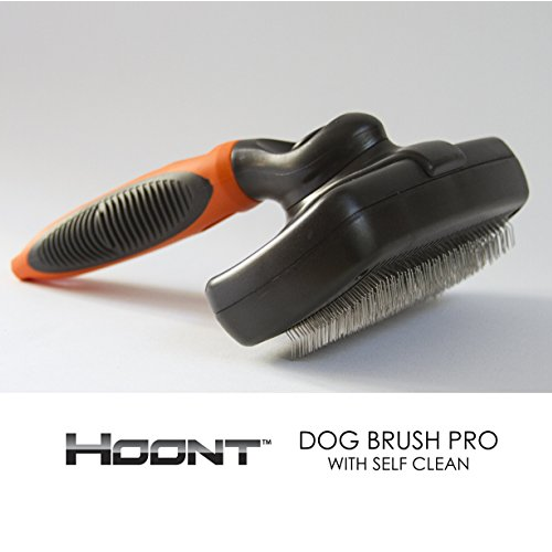 hoont-dog-brush-pro-with-self-clean