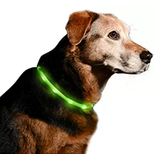 led-dog-collar