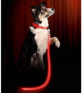 5 Best LED Dog Leash – Give your dog the safety he/she deserves