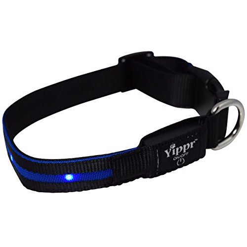 premium-led-dog-collar