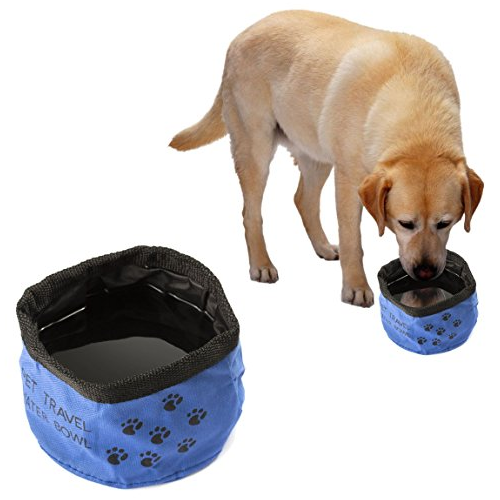 Best Travel Dog Bowl PoPo-Show