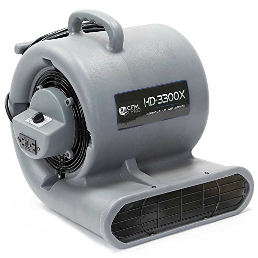 5 Best Carpet Blower Fan A quick, efficient way to dry Tool Box