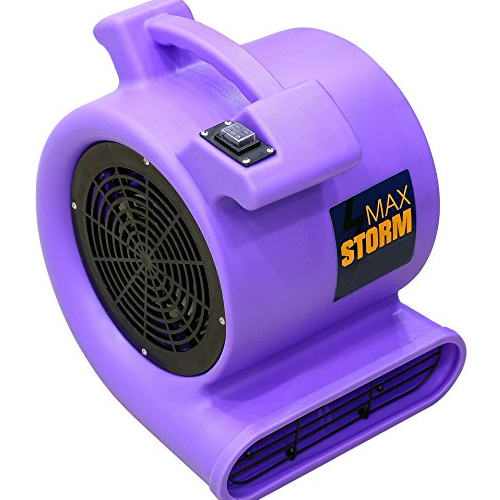 max-storm-purple-2550