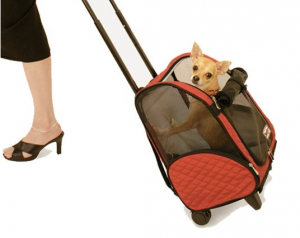 Rolling Backpack Pet Carrier - For enjoyable traveling experience