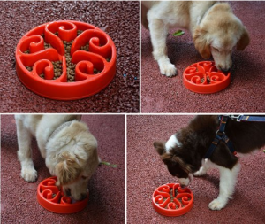 Slow Feed Dog Bowl - Must have for fast eating pet