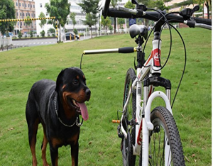 Dog Bicycle Exerciser Leash - Safely walk your dog and ride your bike at the same time