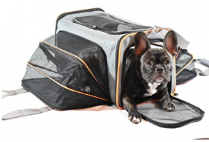 Expandable Pet Carrier - Your best friend's best travel companion