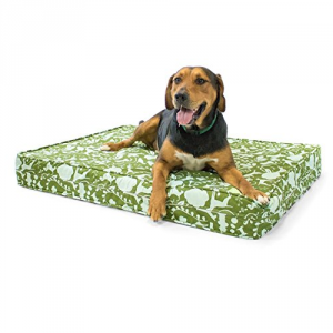 5 Best Orthopedic Dog Bed – The optimal comfort for your best friend