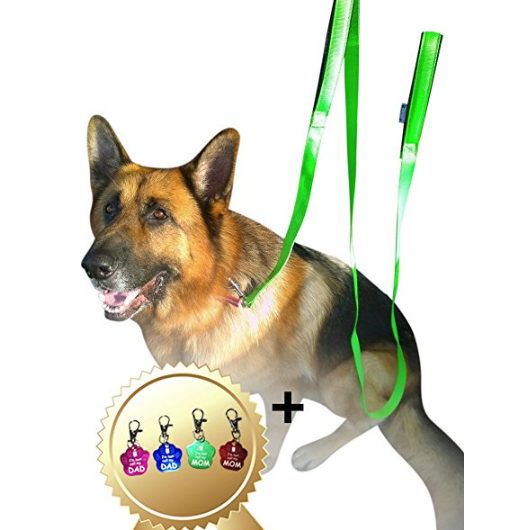 5 Best Double Handle Dog Leash Enhance you dog walking experience