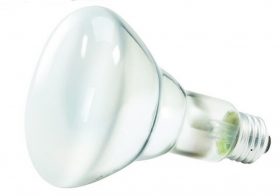 5 Best Flood Light Bulbs – Perfect tiny tool