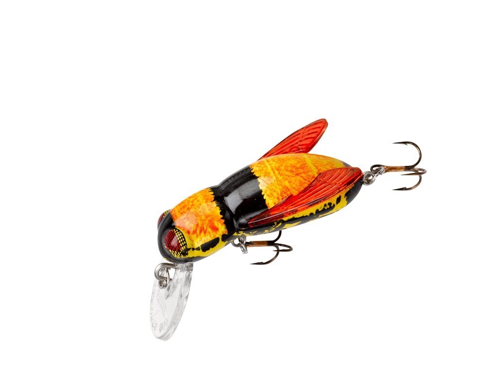 5 Best Fishing Lures For Catching the More Fish Quickly Tool Box