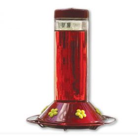 5 Best Hummingbird Feeder – Great gift for hummingbird lovers