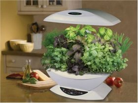 5 Best AeroGarden Indoor Garden – Enjoy fresh greens at every meal no matter what the season