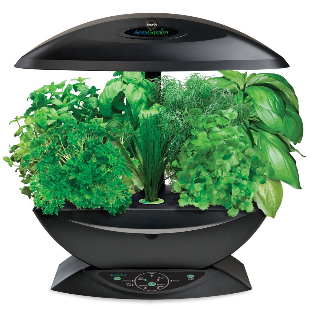 5 Best AeroGarden Indoor Garden - Enjoy fresh greens at every meal no