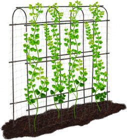 Guide to Choosing and Using Garden Trellises