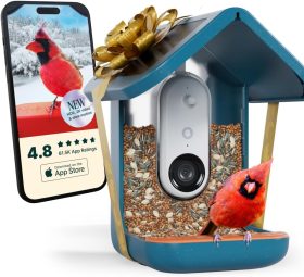 Bird Feeder with Camera Solar Powered: Watch, Record, and Enjoy Birds Like Never Before